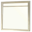  Furniture of America Briella CM7101M Mirror IMAGE 1