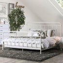  Color_Vintage White Size_Full -- Furniture of America Iria Full Metal Bed CM7701WH-F IMAGE 1