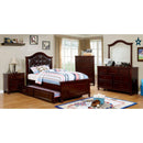  Furniture of America Kids Dresser Mirrors Mirror CM7155EX-M IMAGE 5