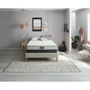  Beautyrest Edgar Plush Tight Top Mattress Set (Full) IMAGE 6