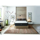  Beautyrest BRX1000-IP Extra Firm Mattress Set (Twin XL) IMAGE 6