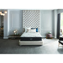 Beautyrest L-Class Plush Mattress Set (Full) IMAGE 6