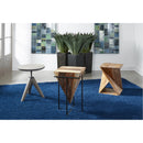  Coast2Coast Landry 37122 Modern Mango and Iron Accent Table IMAGE 6