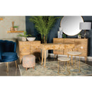  Coaster Furniture Alyssum 953460 3-door Mango Wood Accent Cabinet - Natural IMAGE 6