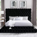  Furniture of America Stefania CM7227BK-Q-BED Queen Bed IMAGE 3