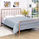  Furniture of America Diana CM7939CK Cal.King Bed IMAGE 2