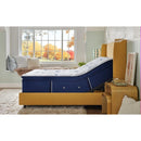  Stearns & Foster Studio Medium Euro Pillowtop Mattress (Queen) IMAGE 8