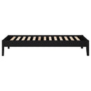  Coaster Furniture Hounslow 306129T Twin Universal Platform Bed - Black IMAGE 6