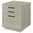  Coaster Furniture Loomis 805882 3-Drawer Home Office File Cabinet - Whitewashed Grey IMAGE 6