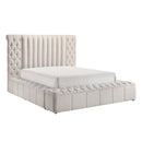  Crown Mark Danbury 5201WH-Q Queen Bed - White IMAGE 1