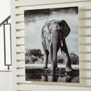  Signature Design by Ashley Glinyard A8000421 Wall Art IMAGE 4