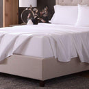  Malouf Classic Cotton MA02TXWHCS - Twin XL/White IMAGE 5