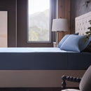  Malouf Classic Cotton MA02QQMRCC - Queen Pillowcases/Marine IMAGE 2