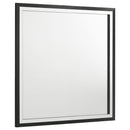  Coaster Furniture Lucia 224994 Dresser Mirror - Black IMAGE 1