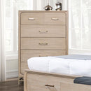  Furniture of America Sandnes FM7369AK-C Chest IMAGE 1