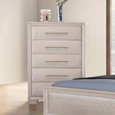  Furniture of America Chemnitz FM7399WH-C Chest IMAGE 1