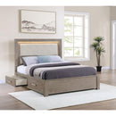  Coaster Furniture Kenora 224850Q 56-inch Queen LED Storage Bed - Barley Brown IMAGE 9