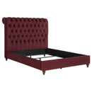  Coaster Furniture Devon 360341Q 57-inch Upholstered Queen Panel Bed - Wine Red IMAGE 1