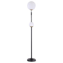  Coaster Furniture Dacki 920243 69-inch Dual Spherical Bulb Metal Floor Lamp - Black IMAGE 3