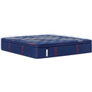  Sealy Brenham II Medium Euro Pillow Top Mattress (Twin XL) IMAGE 1